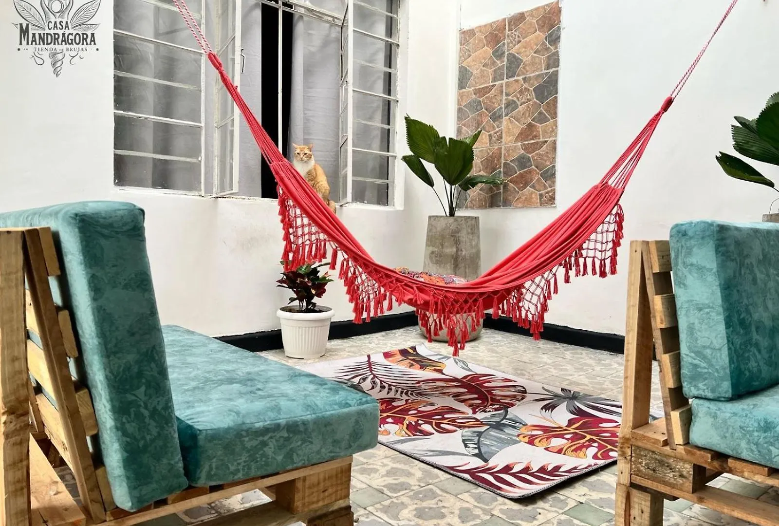 Hotel Casa Mandragora Cali Affittacamere
